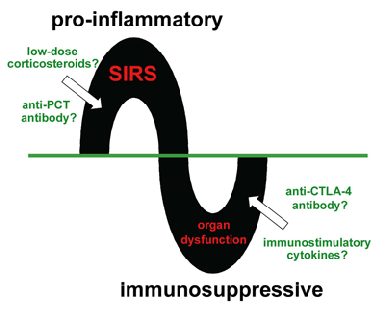 Figure 3: The Two Phases of Sepsis