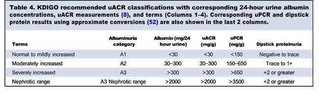 Table 4. KIDGO recomended uACR classifications with corresponding 24-hour urine albumin concentrations, uACR measurements, and terms. Corresponding uPCR and dipstick protein results using approximate conversaions are also shown in the last 2 columns