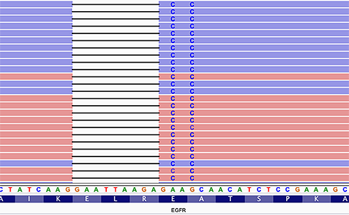 A chart with blue, red, and white rows, with two rows of letters at the bottom, and two columns of the letter C