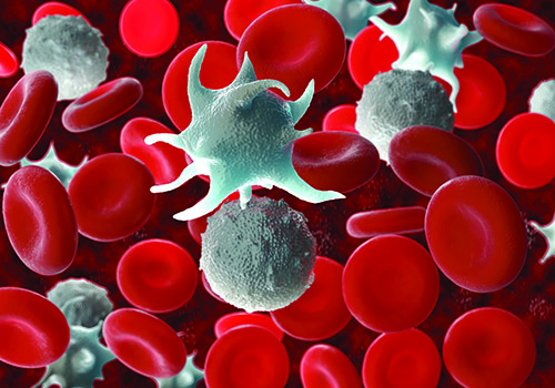 Red and white blood cells floating