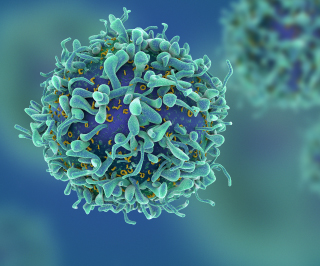 New research indicates that exposing T cells to an electrical current makes them more susceptible to immunotherapy.