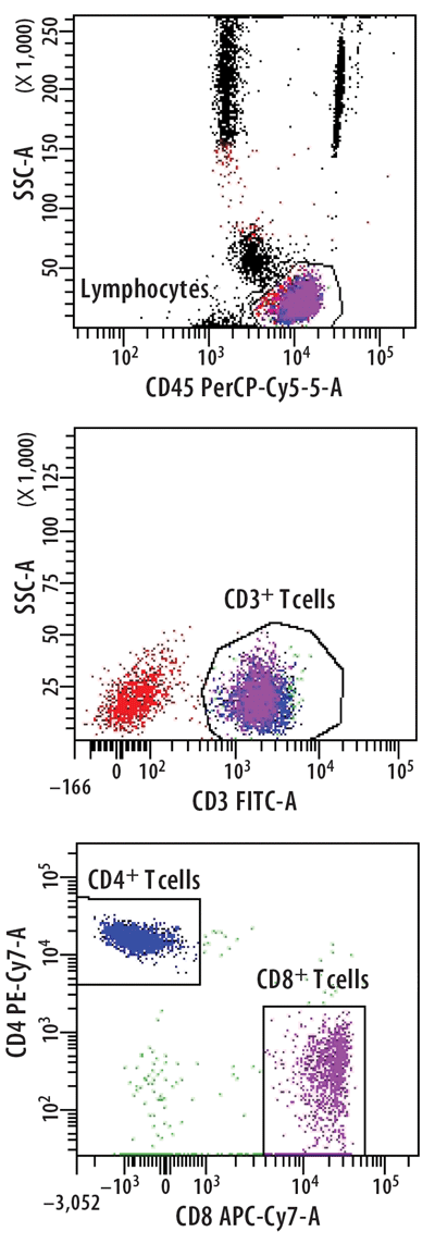 Identification of Different T Cell Subpopulations