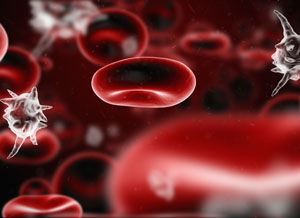 Blood cells and germs