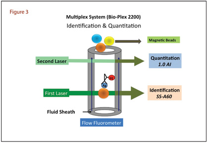 Multiplex System (Bio-Plex 2200) Identification and Quantitation
