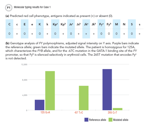 Molecular typing Figure 1 CLN 2015