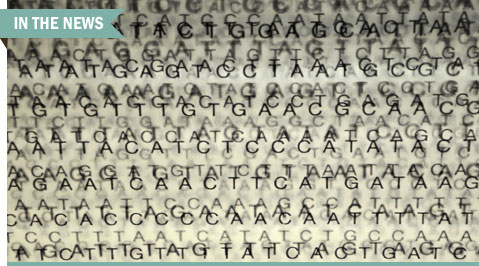 Genomic data graphic