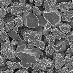 Porous polymer under electron microscope