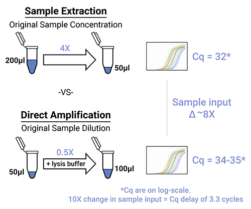 Comparison of amplification results of the same sample with a sample extraction workflow and a direct amplification workflow.